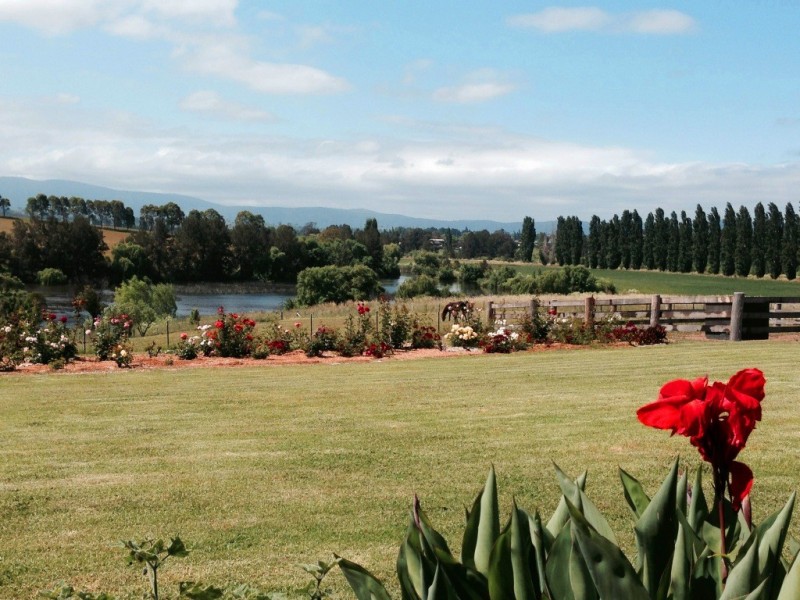 16 Springvale Close, Bega NSW 2550