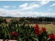16 Springvale Close, Bega NSW 2550