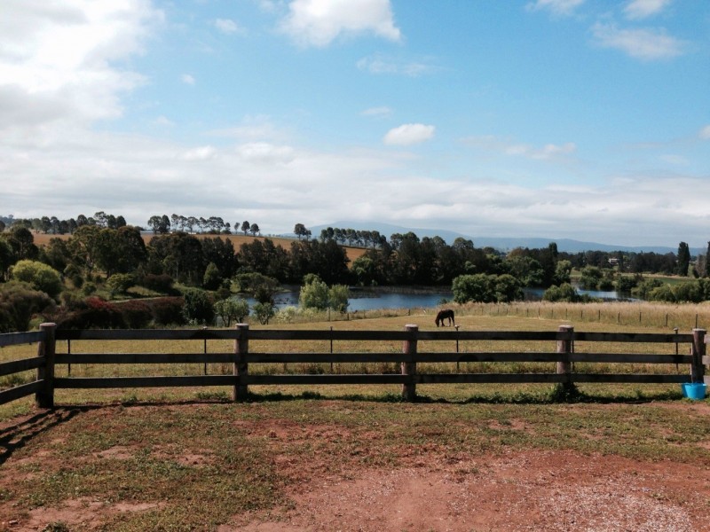 16 Springvale Close, Bega NSW 2550