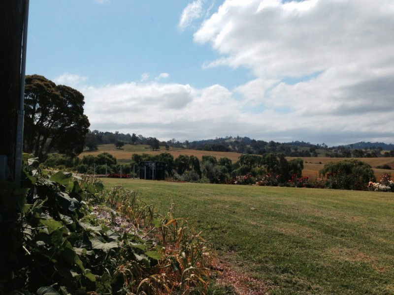 16 Springvale Close, Bega NSW 2550