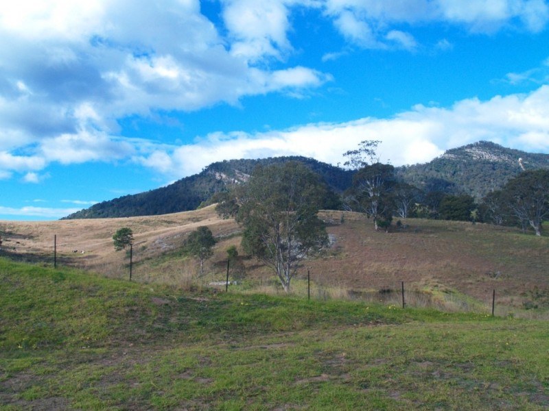 19 Kallata Lane, Wolumla NSW 2550