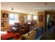 1209 Upper Brogo Rd, Brogo NSW 2550