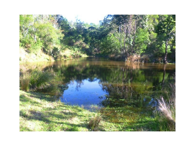 1209 Upper Brogo Rd, Brogo NSW 2550