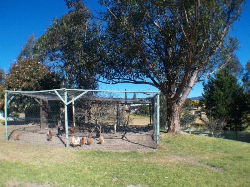 29 Loftus St, Bemboka NSW 2550