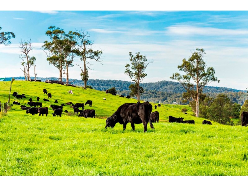 Lot 345 Wallagoot Lane, Bega NSW 2550