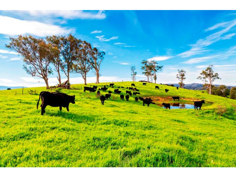 Lot 345 Wallagoot Lane, Bega NSW 2550