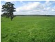 7545 Princes Hwy, Cann River VIC 3890