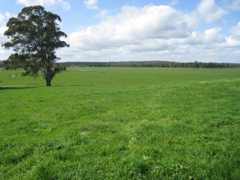 7545 Princes Hwy, Cann River VIC 3890