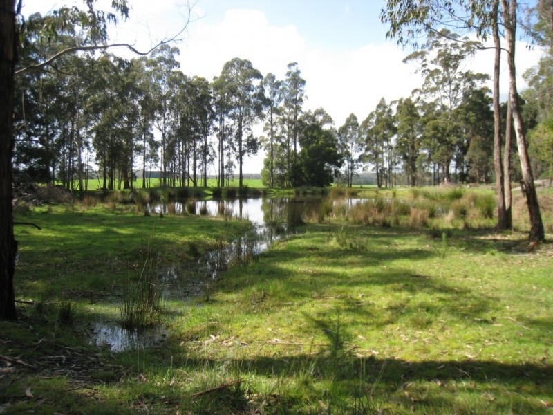 7545 Princes Hwy, Cann River VIC 3890