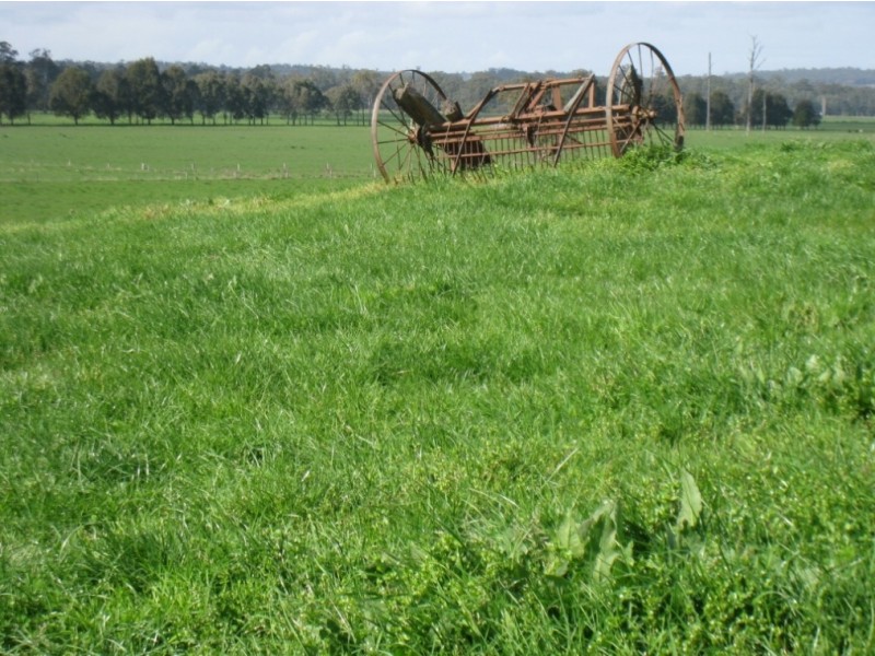 7545 Princes Hwy, Cann River VIC 3890