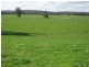 7545 Princes Hwy, Cann River VIC 3890