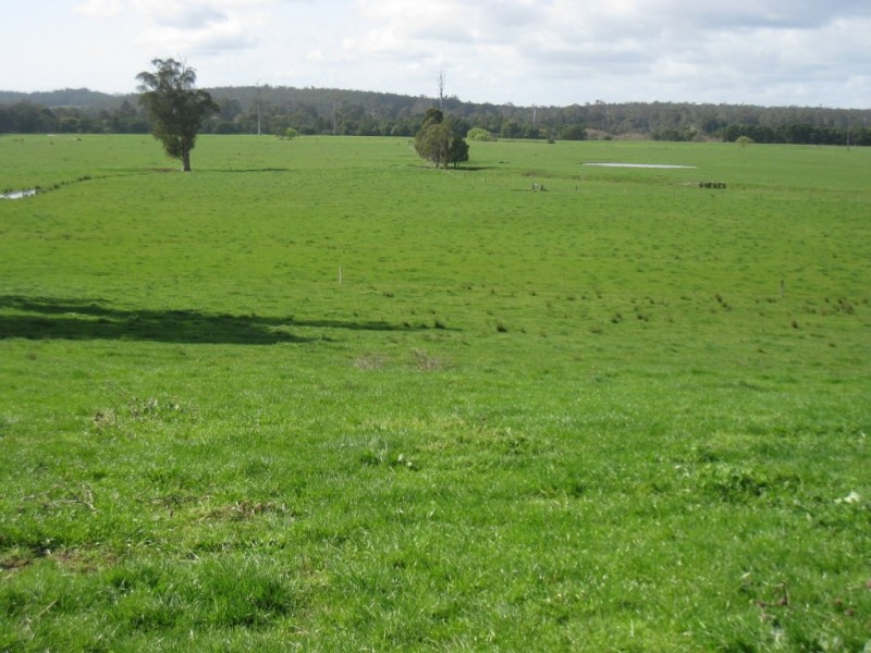 7545 Princes Hwy, Cann River VIC 3890