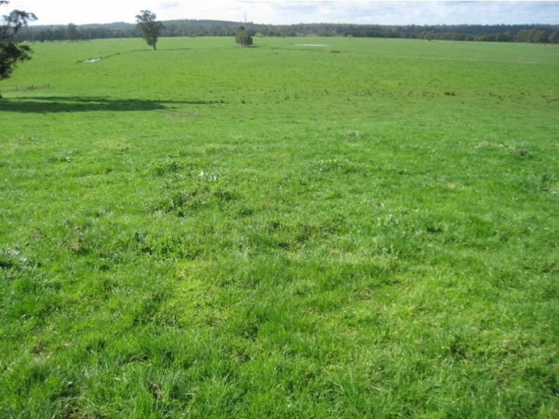 7545 Princes Hwy, Cann River VIC 3890