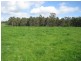 7545 Princes Hwy, Cann River VIC 3890