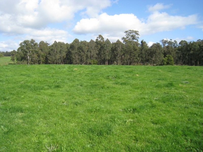 7545 Princes Hwy, Cann River VIC 3890