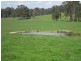 7545 Princes Hwy, Cann River VIC 3890