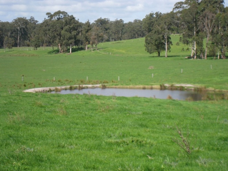 7545 Princes Hwy, Cann River VIC 3890