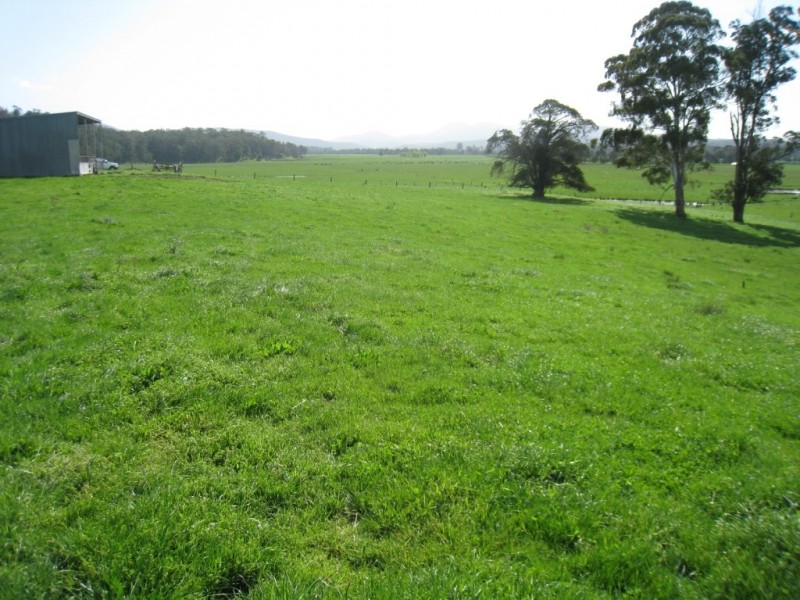 7545 Princes Hwy, Cann River VIC 3890