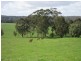 7545 Princes Hwy, Cann River VIC 3890