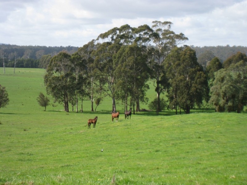 7545 Princes Hwy, Cann River VIC 3890
