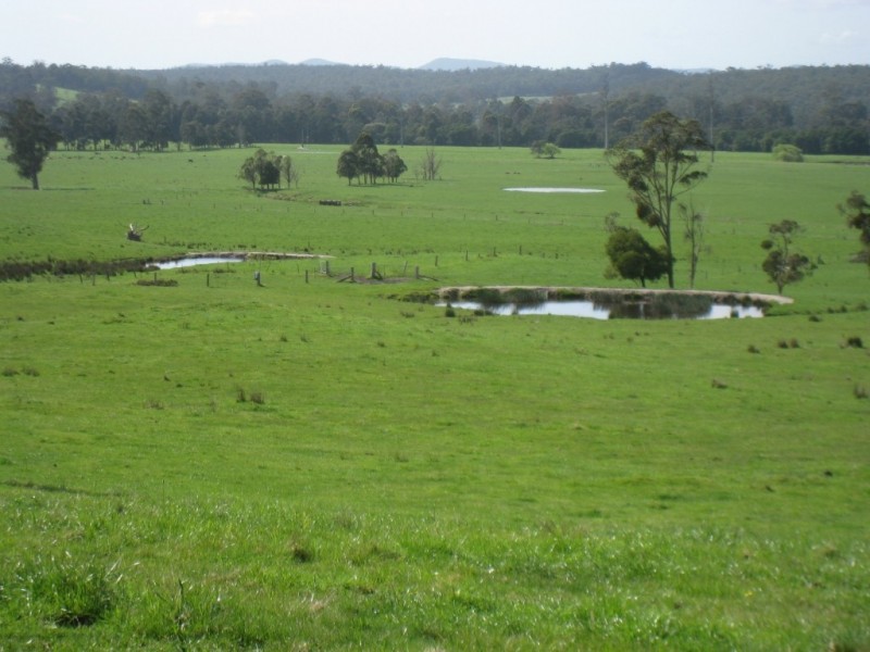 7545 Princes Hwy, Cann River VIC 3890