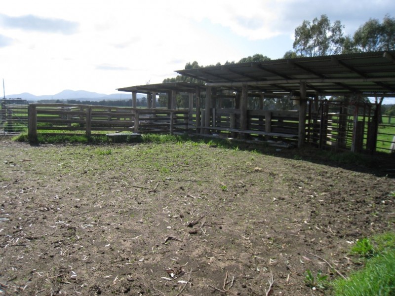 7545 Princes Hwy, Cann River VIC 3890