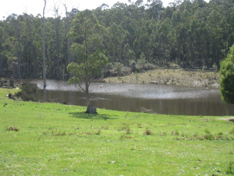 7545 Princes Hwy, Cann River VIC 3890