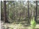 7545 Princes Hwy, Cann River VIC 3890