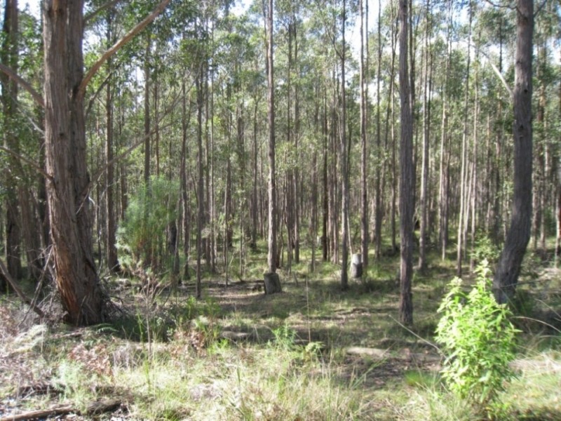 7545 Princes Hwy, Cann River VIC 3890