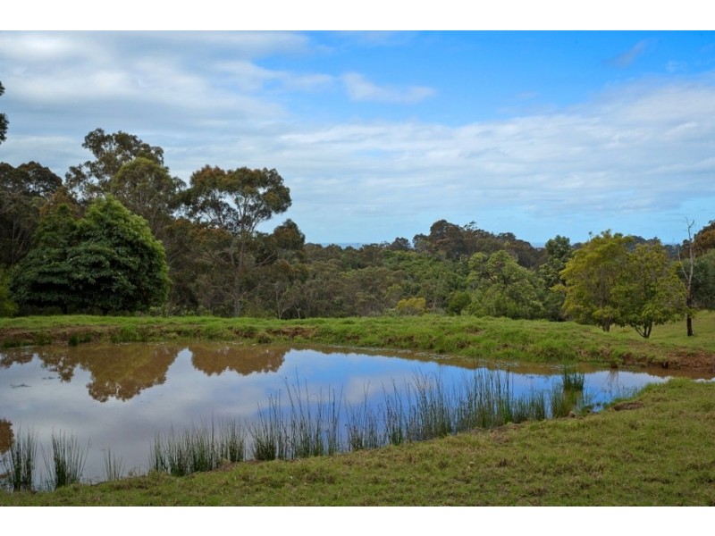 146 Nutleys Creek Rd, Bermagui NSW 2546