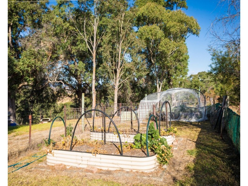 1231 Snowy Mountains Hwy, Bega NSW 2550