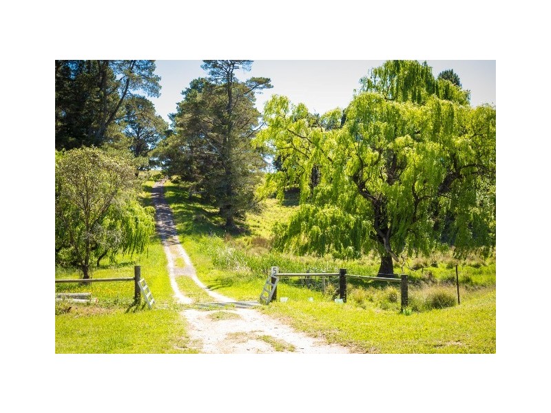 5 Springfield Rd, Candelo NSW 2550