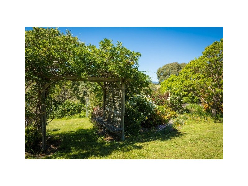 5 Springfield Rd, Candelo NSW 2550