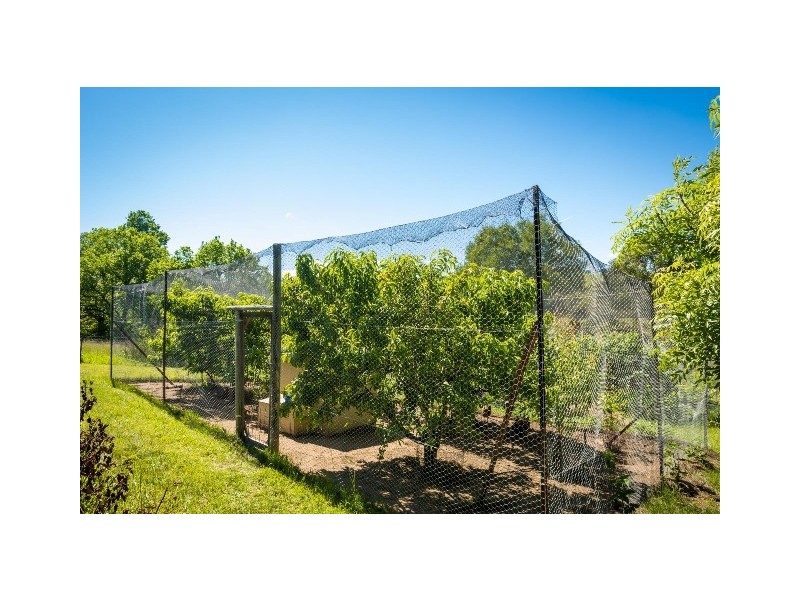 5 Springfield Rd, Candelo NSW 2550