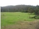 - “Bellbird Springs” Tantawangalo Lane, Tantawangalo NSW 2550