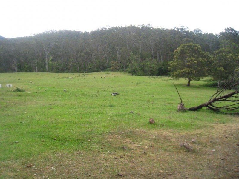 - “Bellbird Springs” Tantawangalo Lane, Tantawangalo NSW 2550