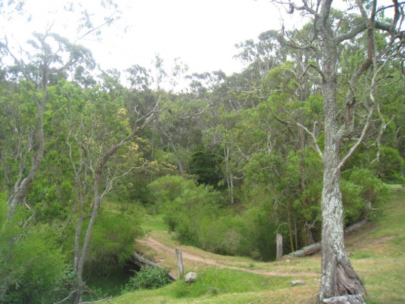- “Bellbird Springs” Tantawangalo Lane, Tantawangalo NSW 2550