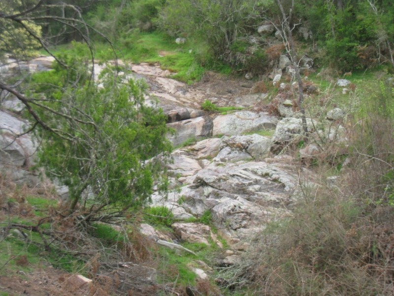 - “Bellbird Springs” Tantawangalo Lane, Tantawangalo NSW 2550