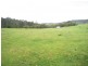 - “Bellbird Springs” Tantawangalo Lane, Tantawangalo NSW 2550