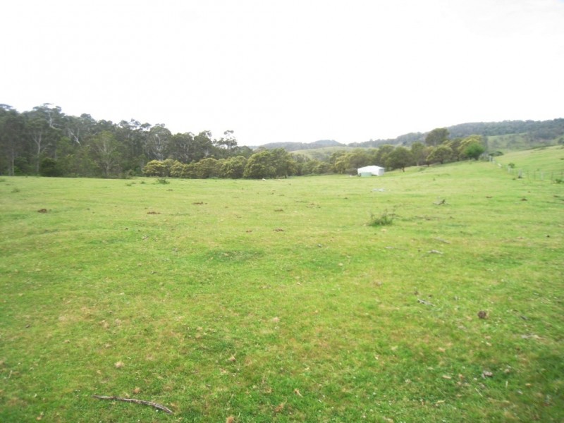 - “Bellbird Springs” Tantawangalo Lane, Tantawangalo NSW 2550