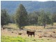 Lot 3 Sullivans Gap Rd, Bemboka NSW 2550