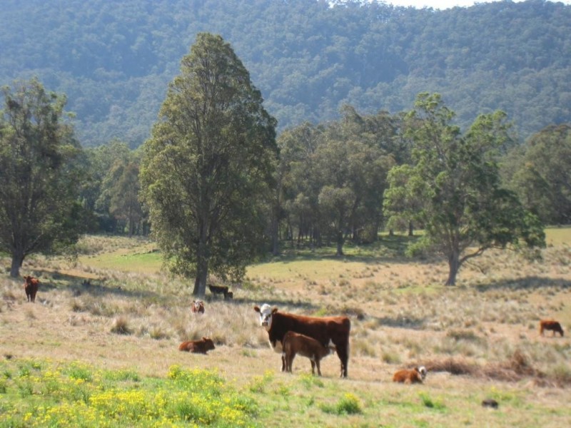 Lot 3 Sullivans Gap Rd, Bemboka NSW 2550