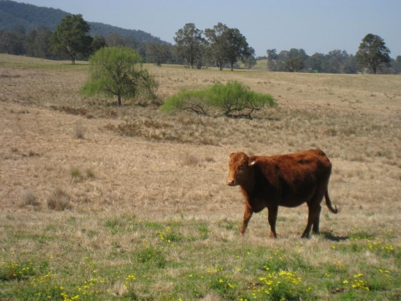 Lot 3 Sullivans Gap Rd, Bemboka NSW 2550