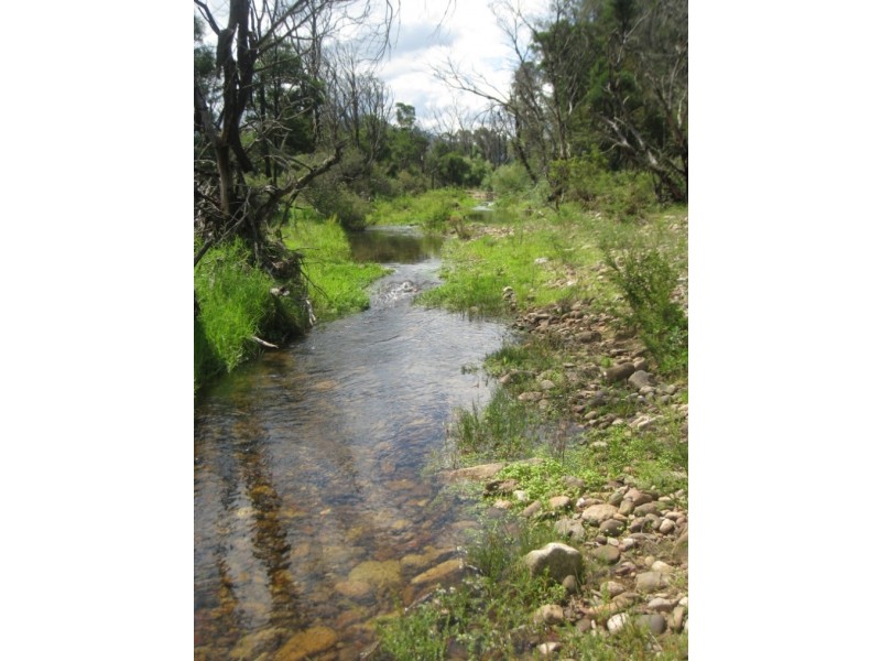 Lot 3 Sullivans Gap Rd, Bemboka NSW 2550