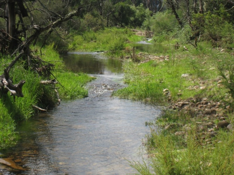 Lot 3 Sullivans Gap Rd, Bemboka NSW 2550