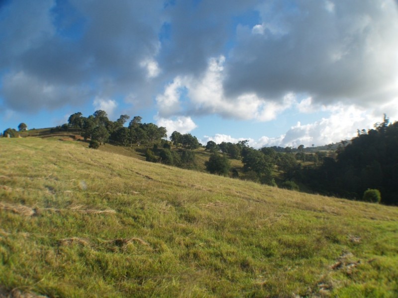 Lot 5432 Mount Pleasant Rd, Bega NSW 2550