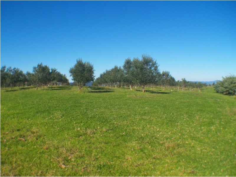 169 Clarkes Rd, Bega NSW 2550