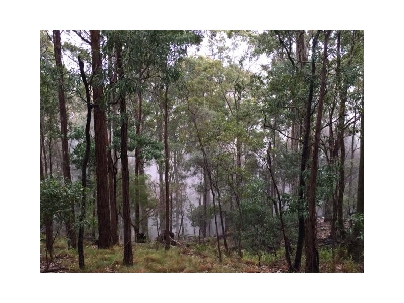 Lot 5 Goats Knob Rd, Tathra NSW 2550