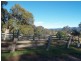 5 McLeods Rd, Brogo NSW 2550