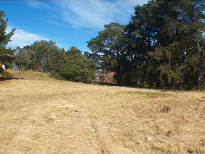27-31 Auckland St, Candelo NSW 2550
